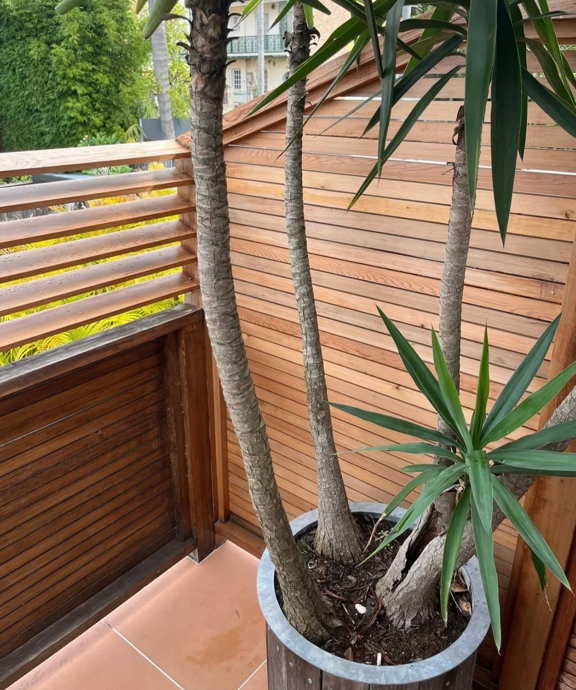 Structural and cladding repair work